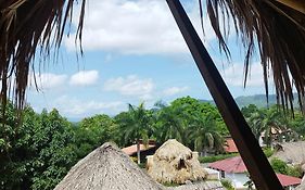 Auroa Palomino