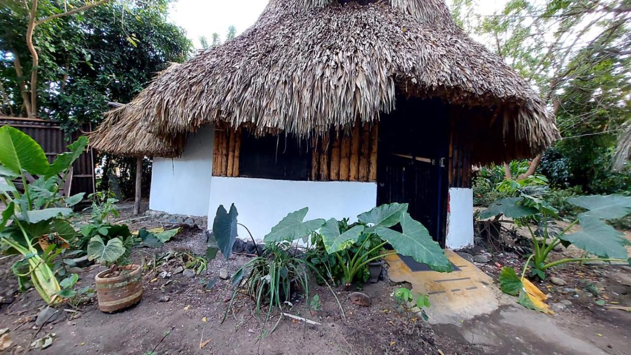 Hotel Auroa Palomino Exterior foto