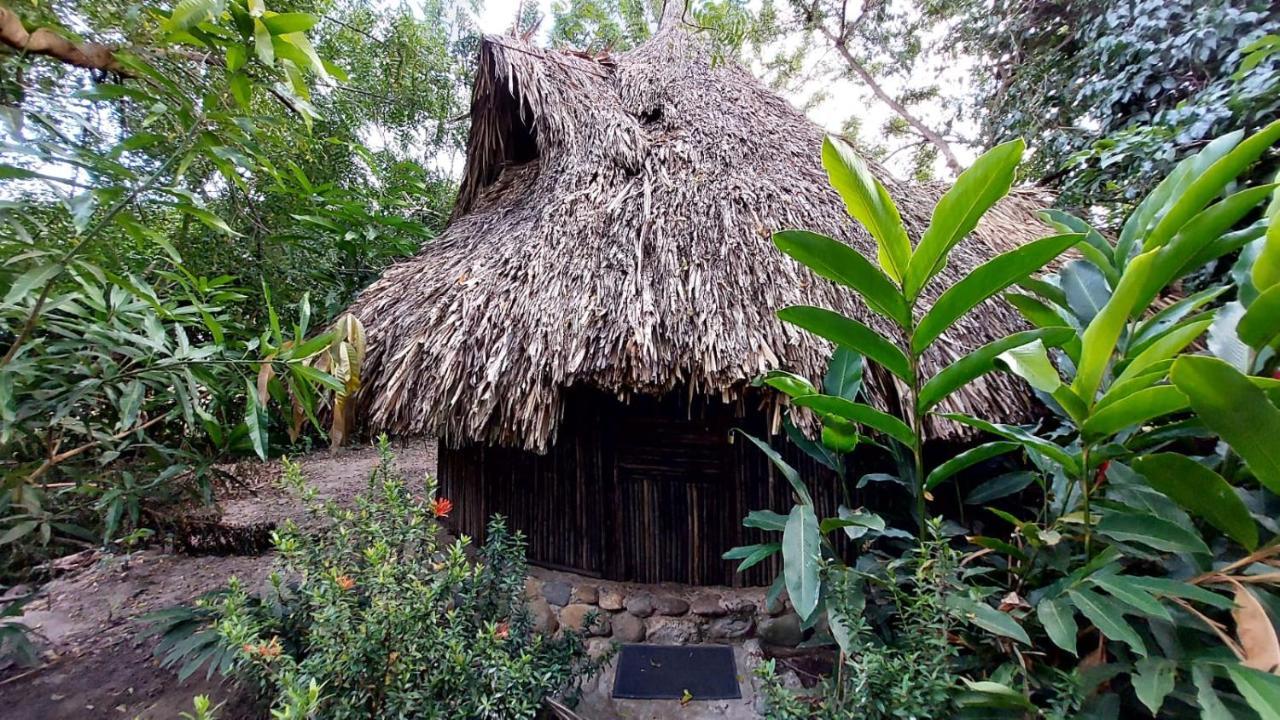 Hotel Auroa Palomino Exterior foto