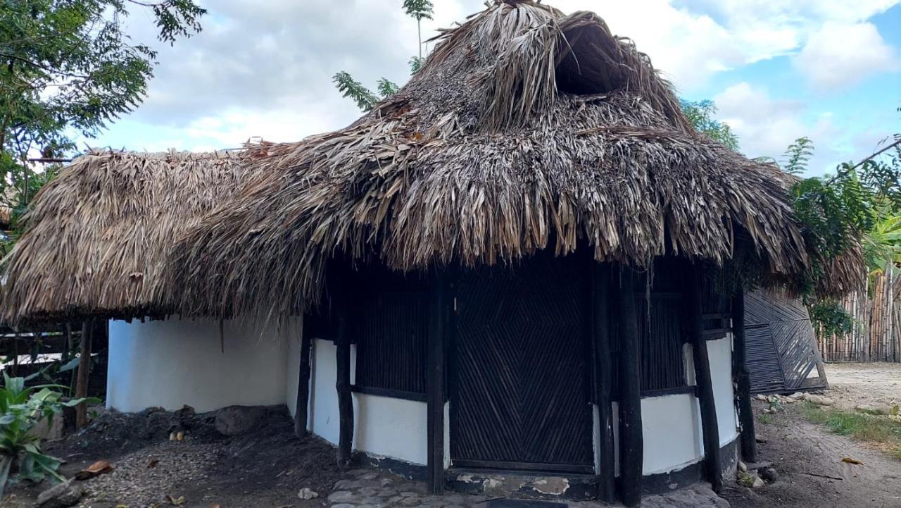 Hotel Auroa Palomino Exterior foto