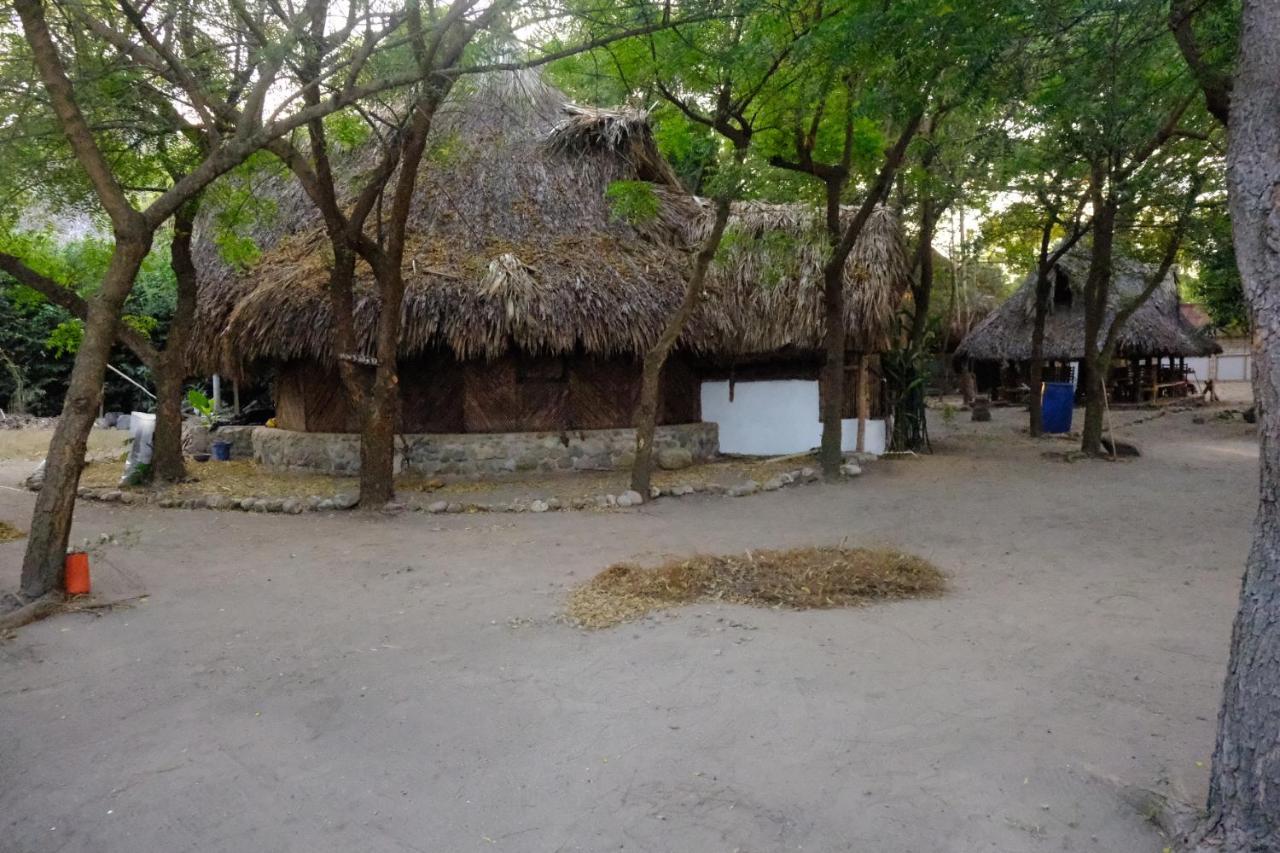 Hotel Auroa Palomino Exterior foto
